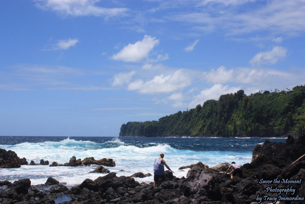 Looking for wildlife at Laupahoehoe Point