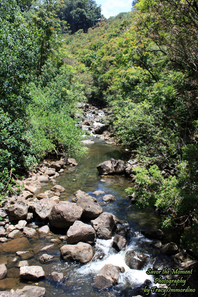 Kolekole Park