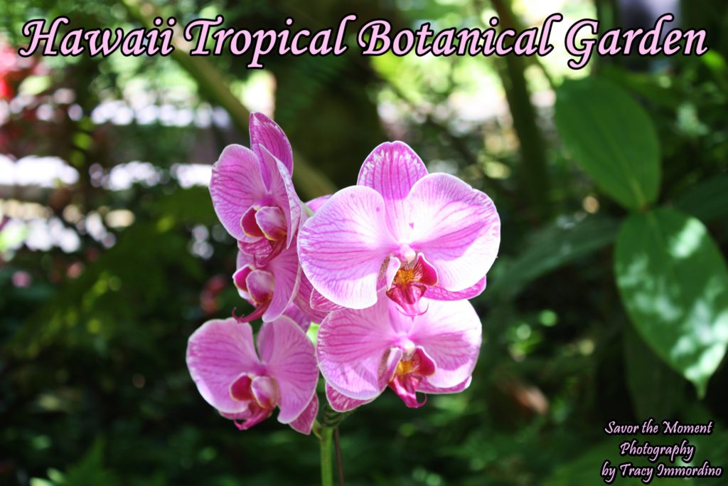 Hawaii Tropical Botanical Garden