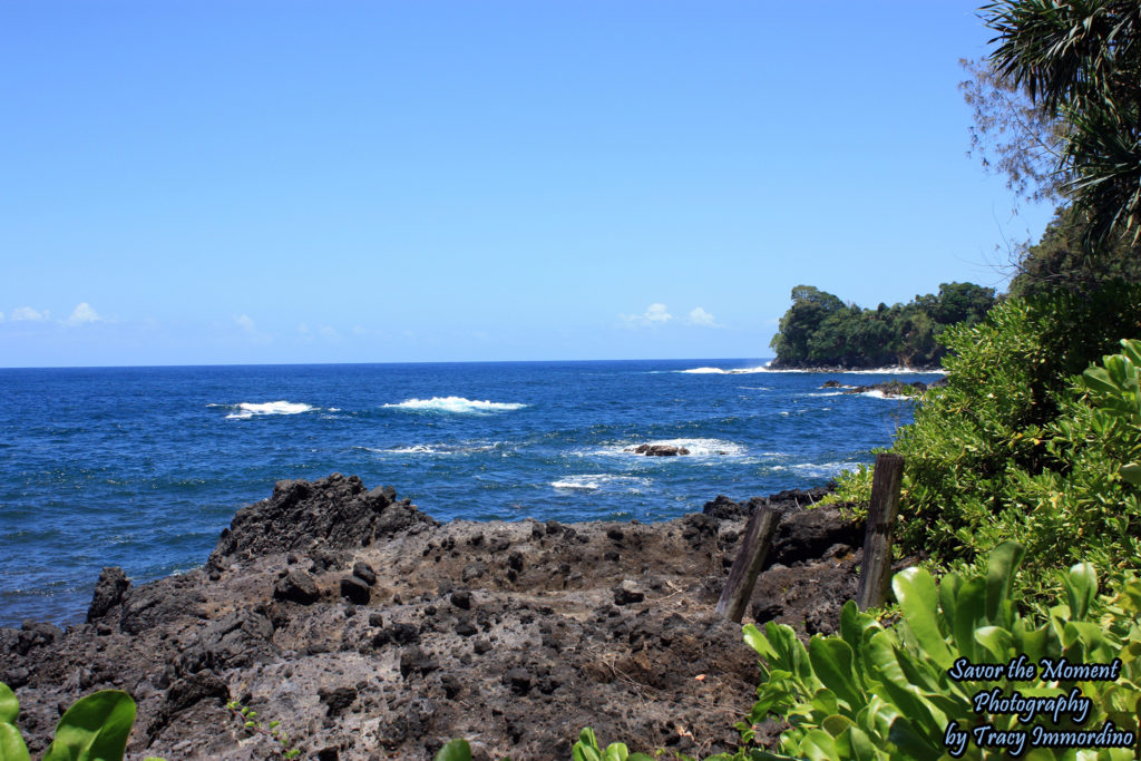 Onomea Bay from inside the Hawaii Tropical Botanical Garden