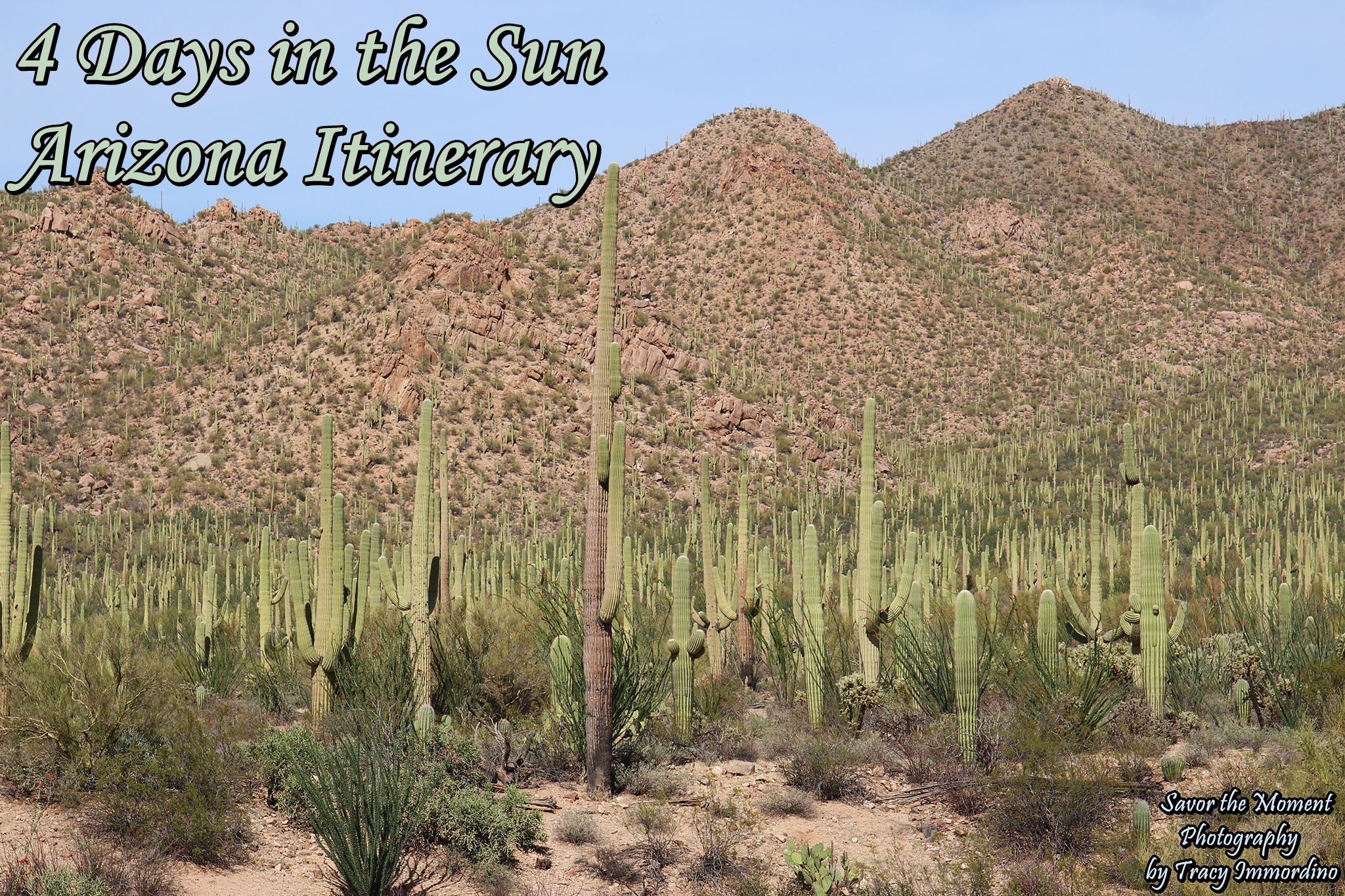 4 Days in the Sun ~ Arizona Itinerary