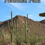 Visiting Saguaro National Park