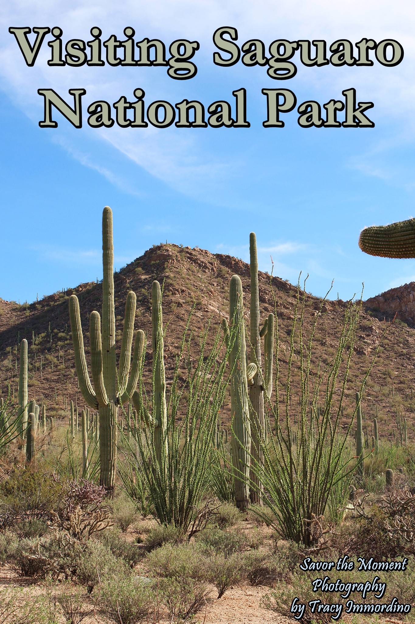 Visiting Saguaro National Park