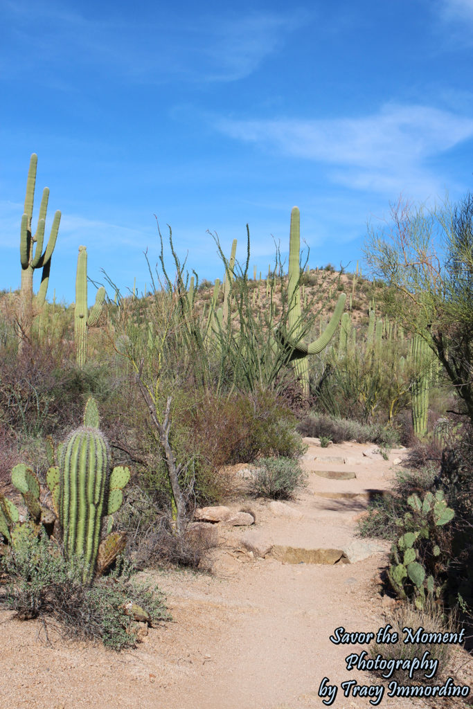 Valley View Overlook Trail