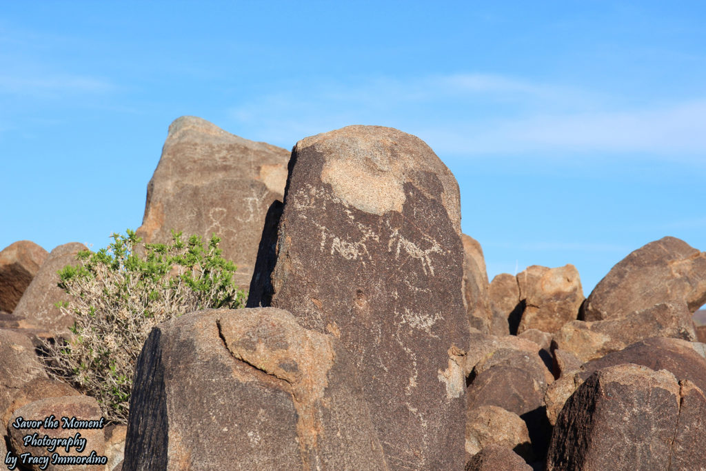 Petroglyphs on Signal Hill