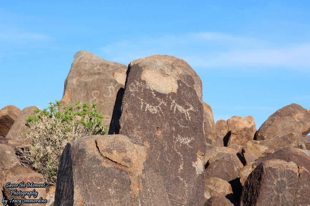 Petroglyphs on Signal Hill
