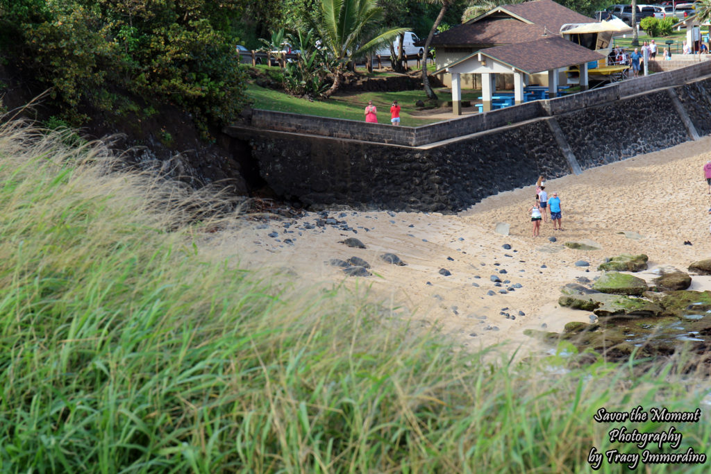 Ho'okipa Beach, Maui