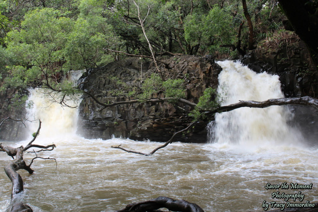 Twin Falls, Maui