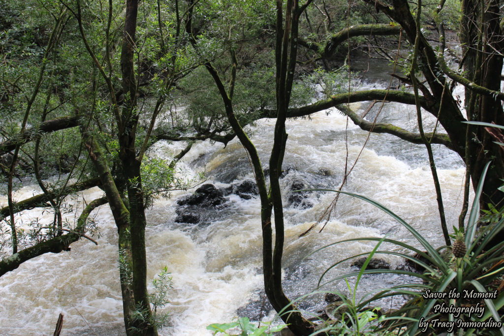 The Rushing Stream Created by Twin Falls, Maui