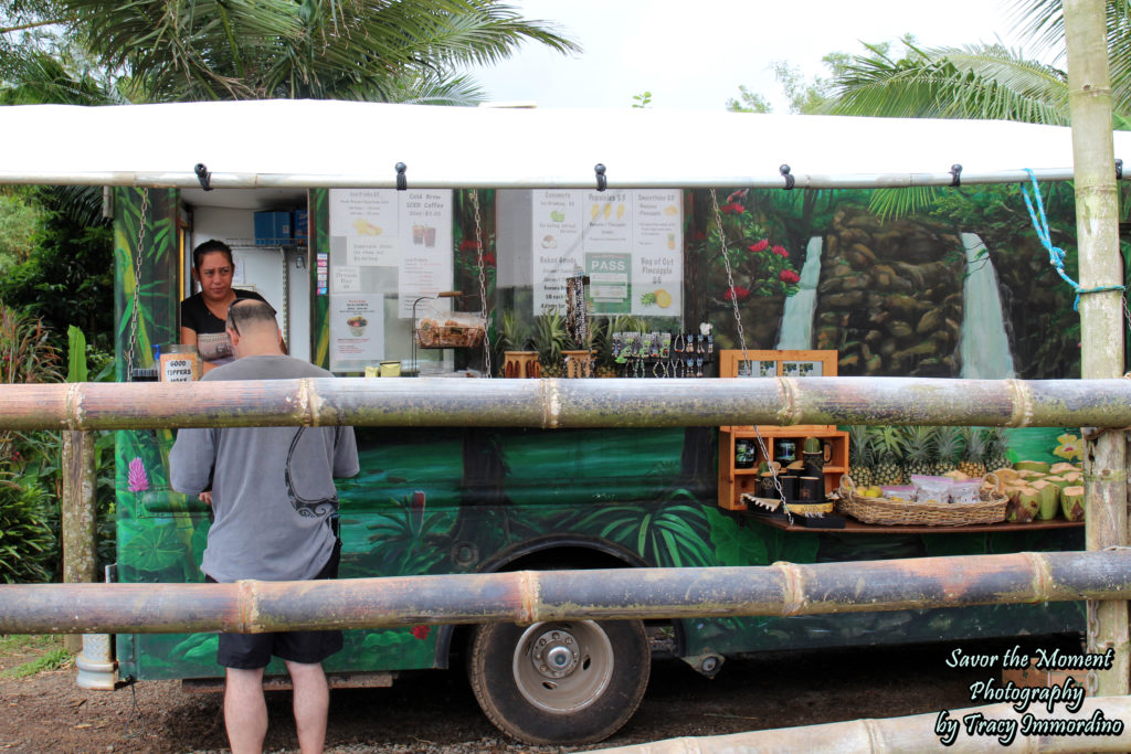 Twin Falls Food Truck, Maui