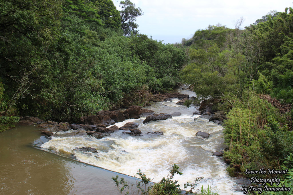 Rushing Stream on the Road to Hana