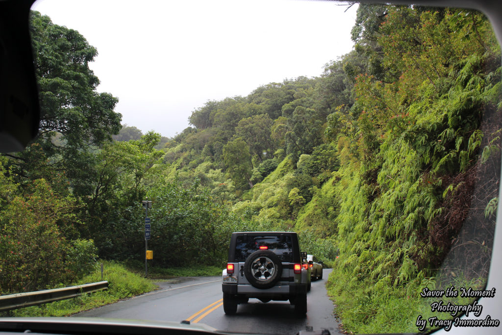 In Line on the Road to Hana