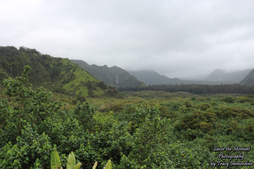 Wailua Overlook