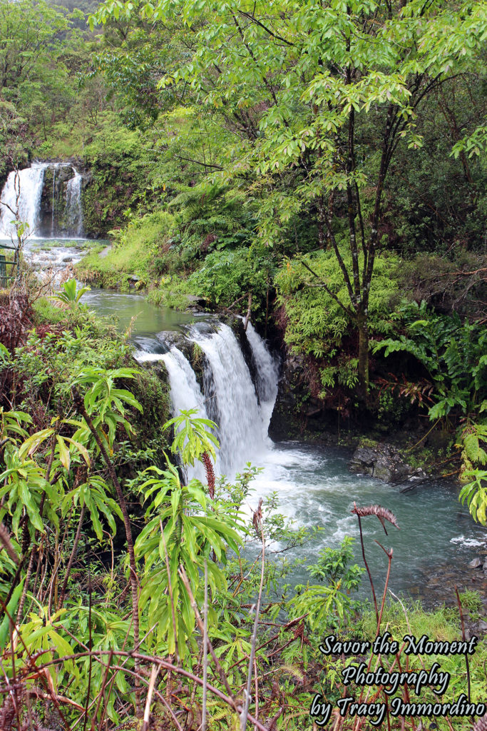 Pua'a Ka'a State Wayside Park