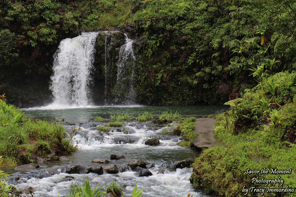 The Top of the Falls, Pua'a Ka'a State Wayside Park