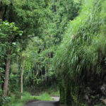 Hana Highway – Past the Town of Hana