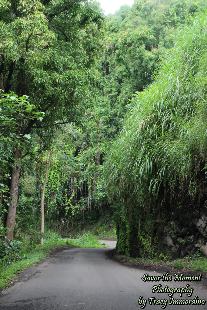 Hana Highway - Past the Town of Hana