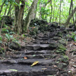 Kuloa Point Trail