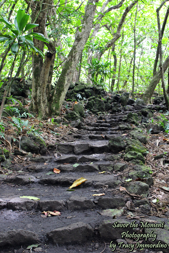 Kuloa Point Trail