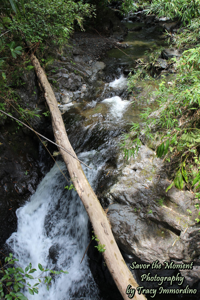 Along the Pipiwai Trail