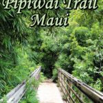 Hiking the Pipiwai Trail in Maui