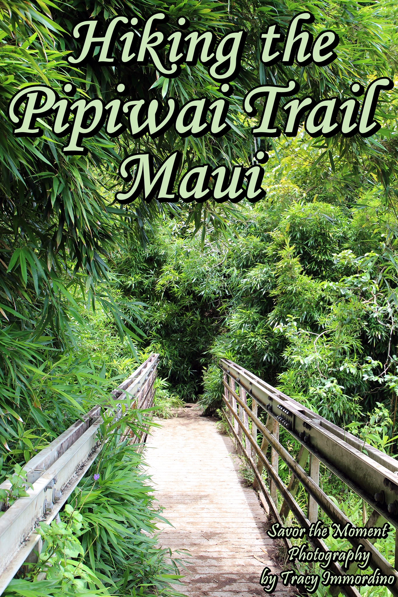 Hiking the Pipiwai Trail in Maui