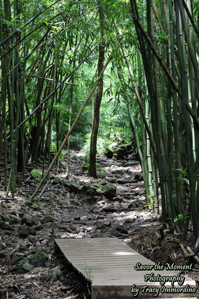 Wooden Planks on the Pipiwai Trail