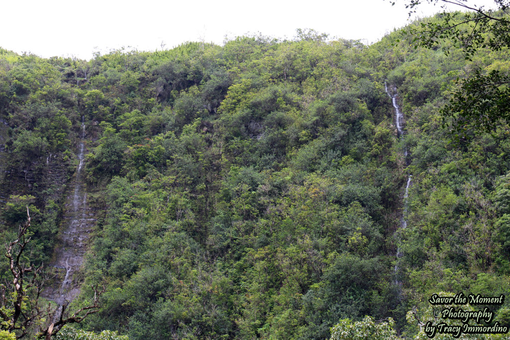 Small Falls Along the Pipiwai Trail