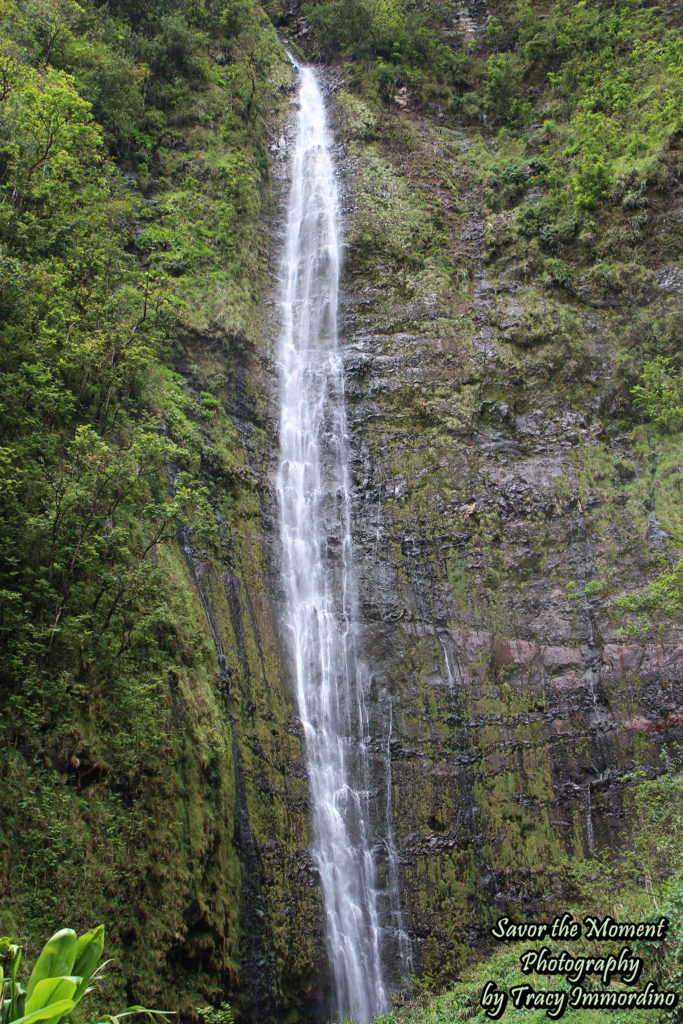 Waimoku Falls, Maui