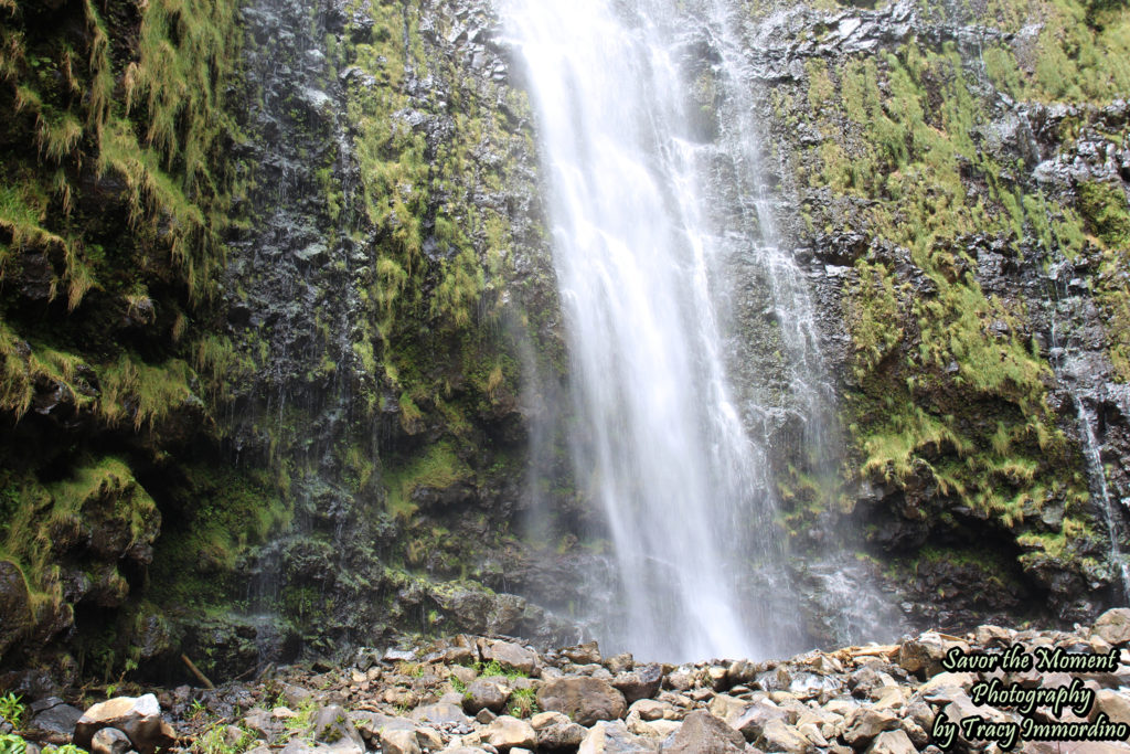 The Bottom of Waimoku Falls