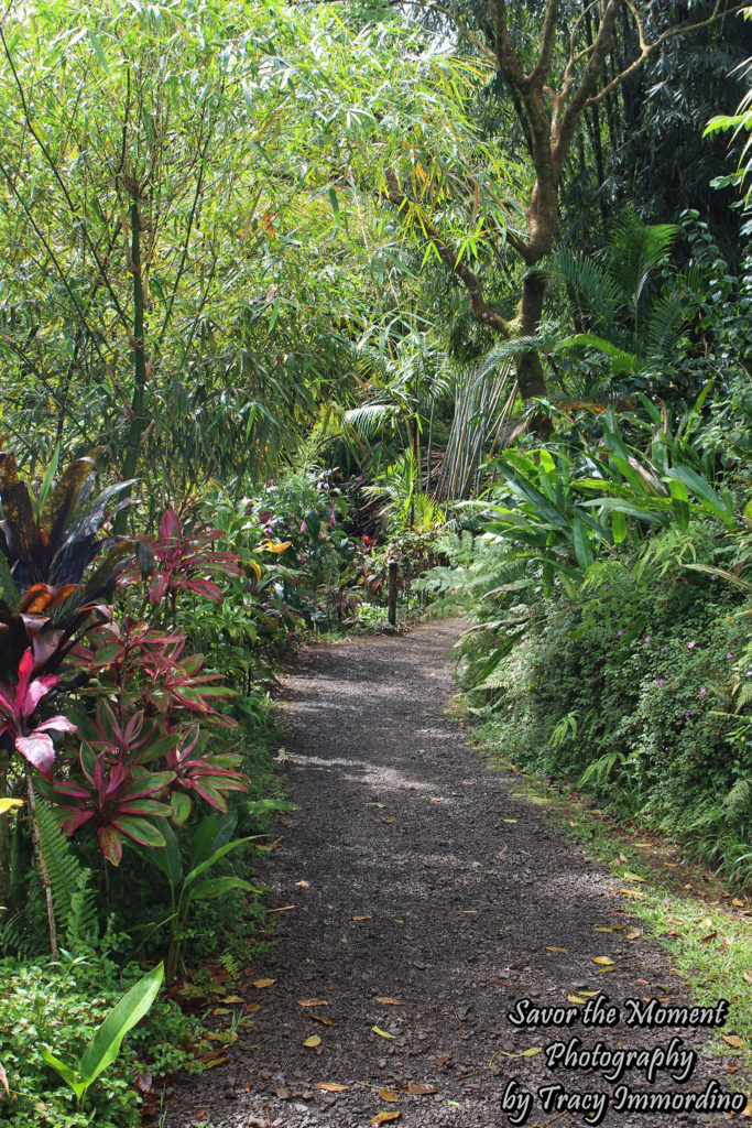 Walking Trails at the Garden of Eden Arboretum