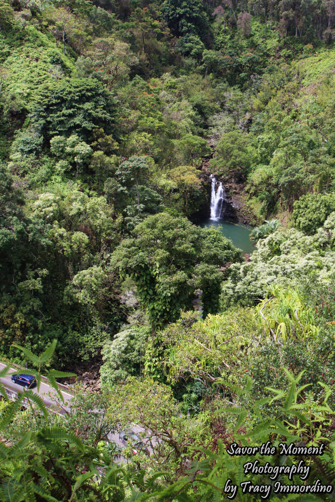 Waterfall Overlook at the Garden of Eden Arboretum