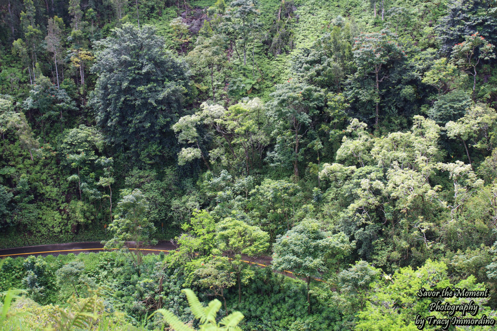 A Slice of Hana Highway