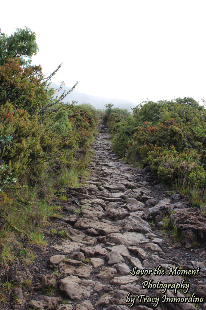 Halemauu Trail, Haleakala National Park