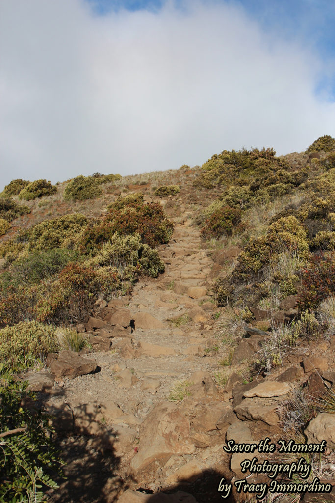 Leleiwi Overlook Trail, Haleakala National Park