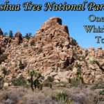 Joshua Tree National Park