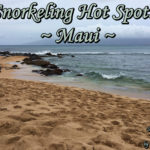 Snorkeling Hot Spots in Maui