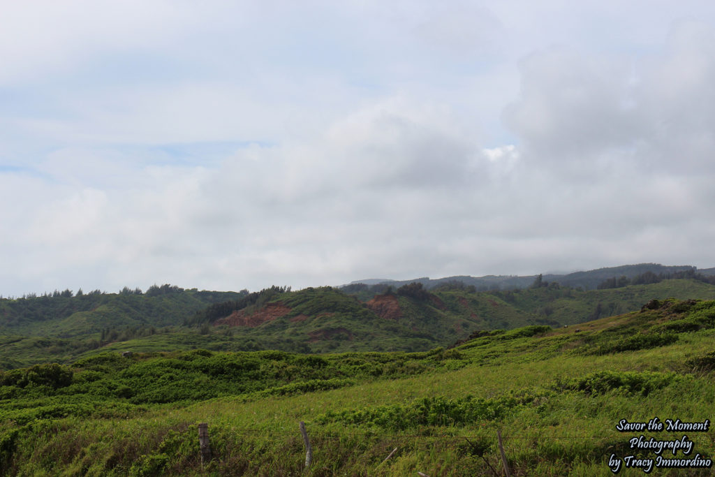 Driving on the Northest Side of Maui