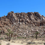 Joshua Tree National Park