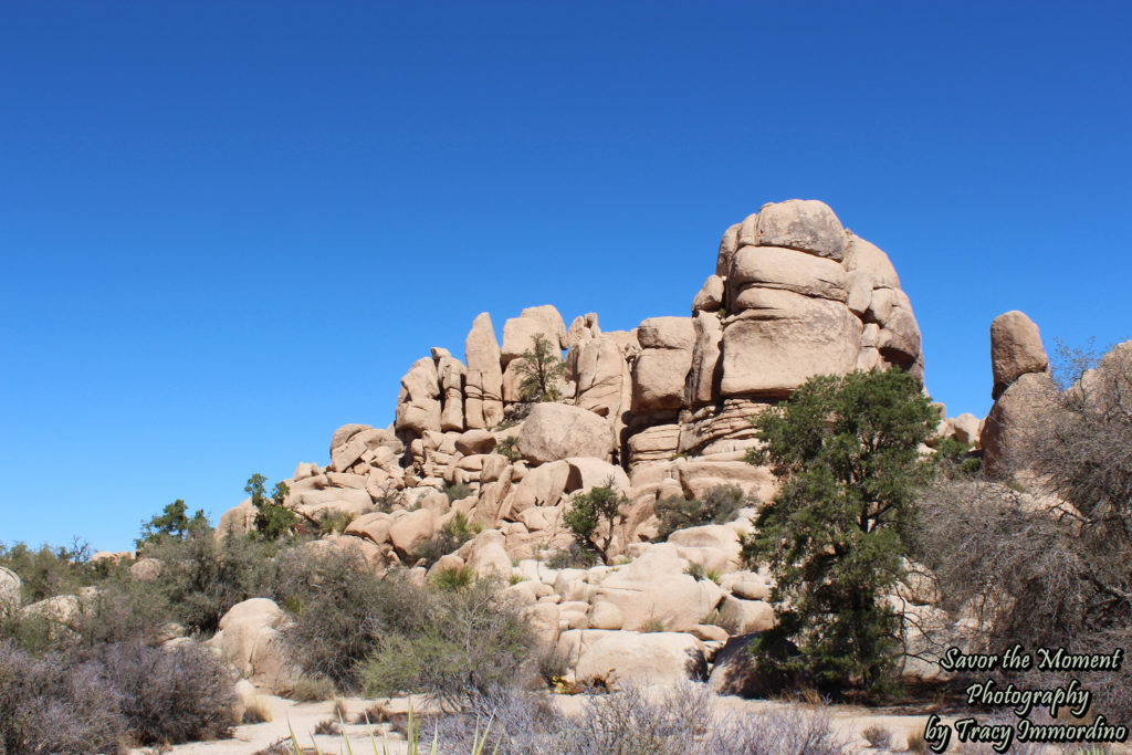 Hidden Valley Picnic Area Trail