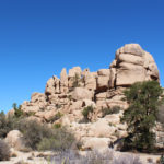 Hidden Valley Picnic Area Trail