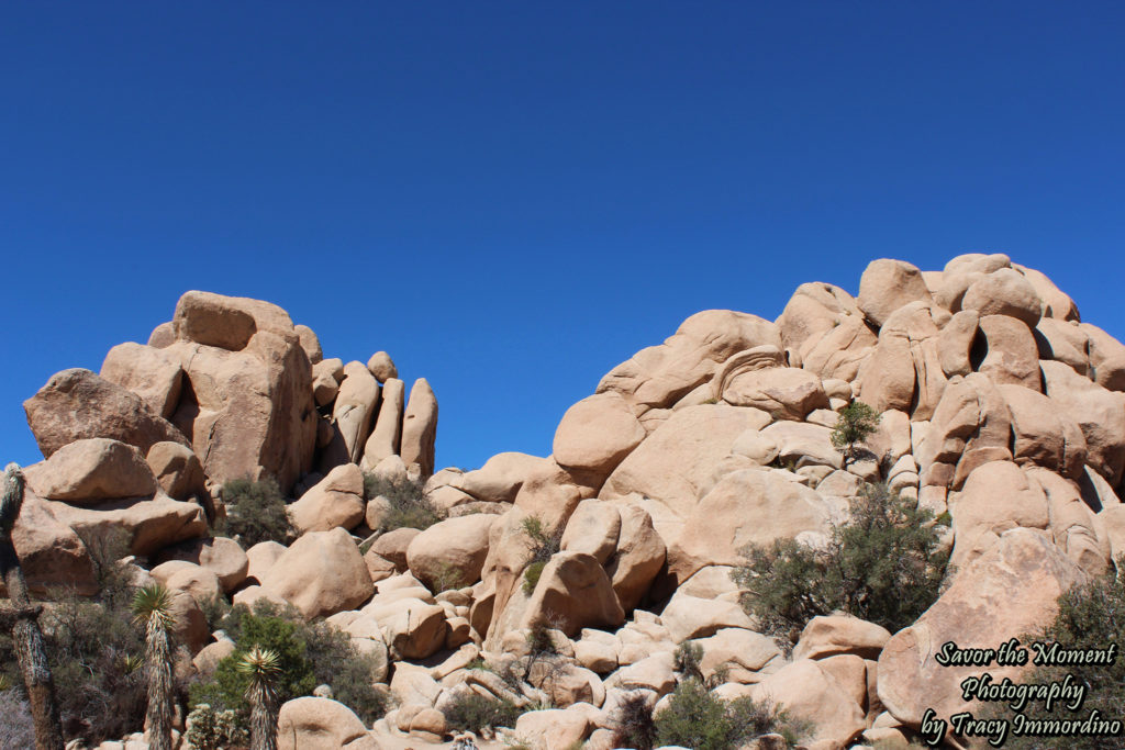 Hidden Valley Picnic Area Trail