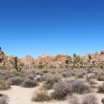 Hidden Valley Picnic Area Trail