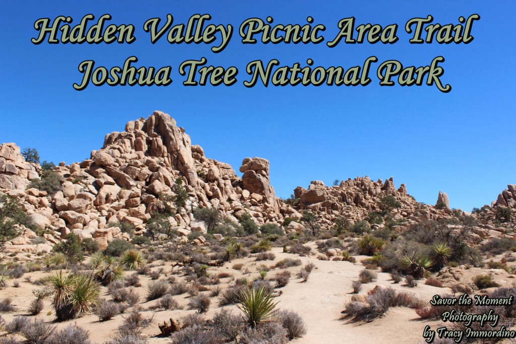 Hidden Valley Picnic Area Trail