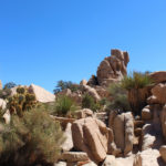 Hidden Valley Picnic Area Trail