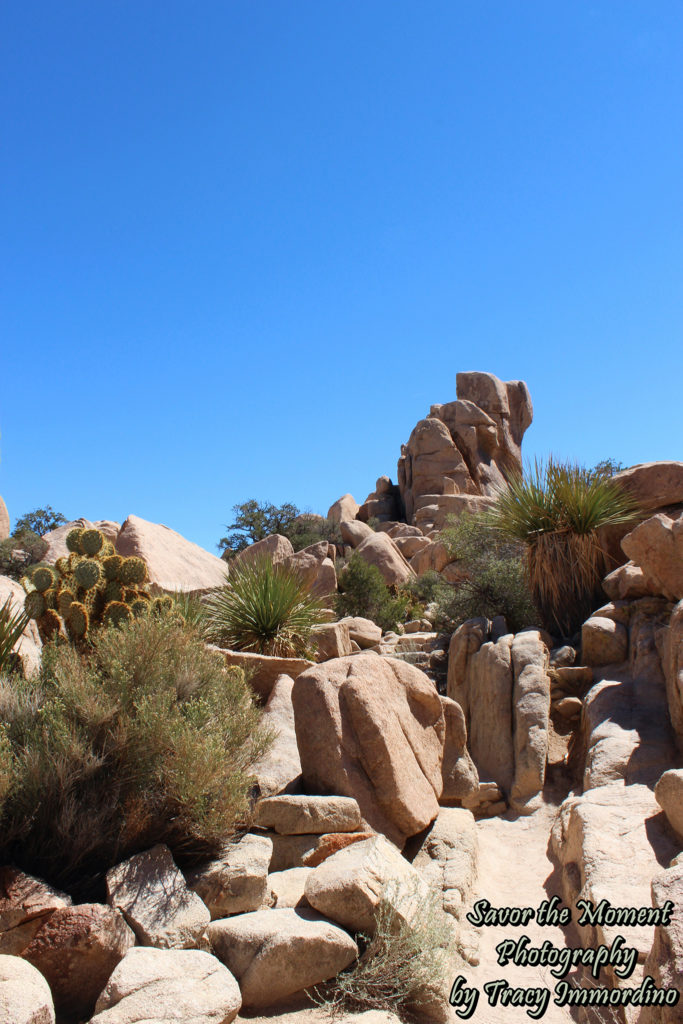 Hidden Valley Picnic Area Trail