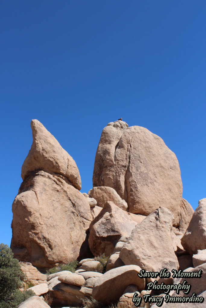 Hidden Valley Picnic Area Trail