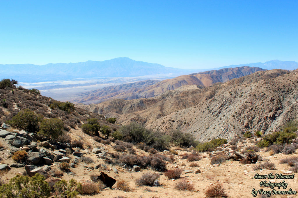 Little San Bernardino Mountains and the San Andreas Fault