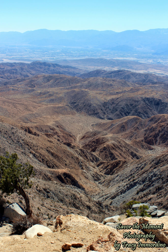 Little San Bernardino Mountains and the San Andreas Fault