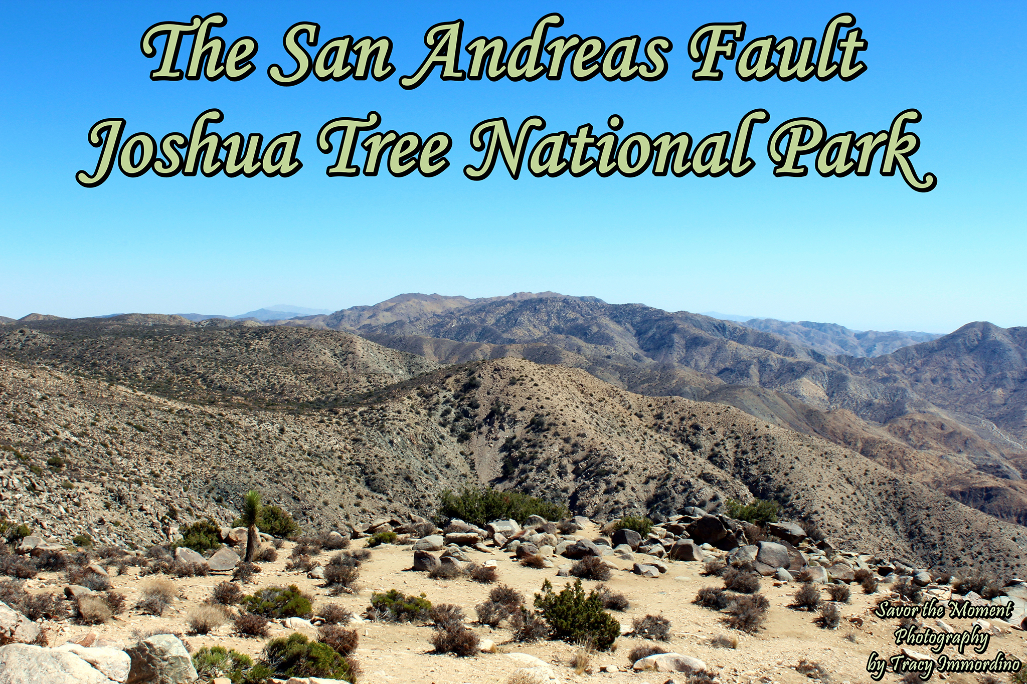 The San Andreas Fault in Joshua Tree National Park